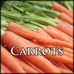 Carrots Base Text Border