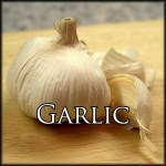 GarlicEdit