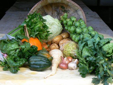 Thanksgiving 2011 basket