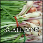 ScallionsEdit