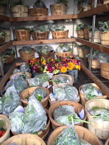 Subscription Page photo 2