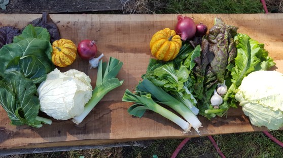 518FB1E6-CF77-4EC0-A6A7-751B981E7F44